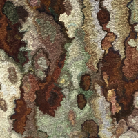 Sycamore Close-Up